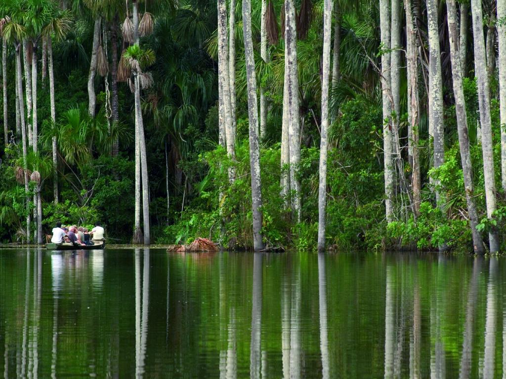 Inkaterra Reserva Amazonica بويرتو مالدونادو المظهر الخارجي الصورة