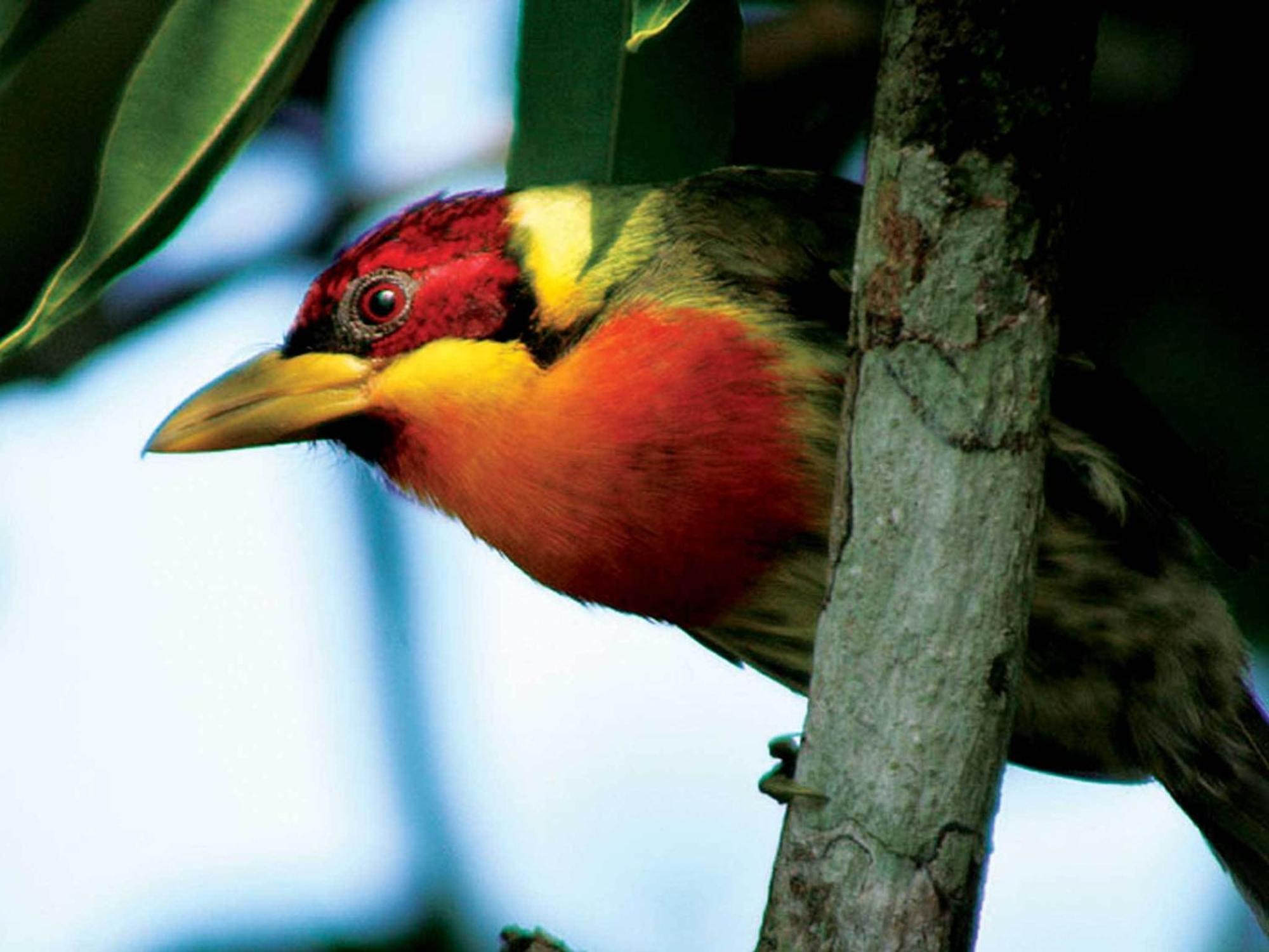 Inkaterra Reserva Amazonica بويرتو مالدونادو المظهر الخارجي الصورة