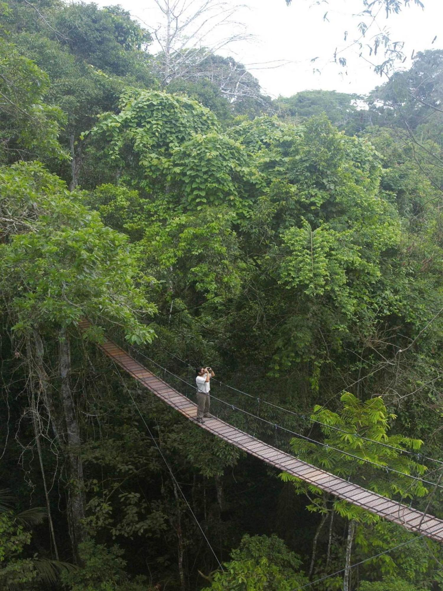 Inkaterra Reserva Amazonica بويرتو مالدونادو المظهر الخارجي الصورة