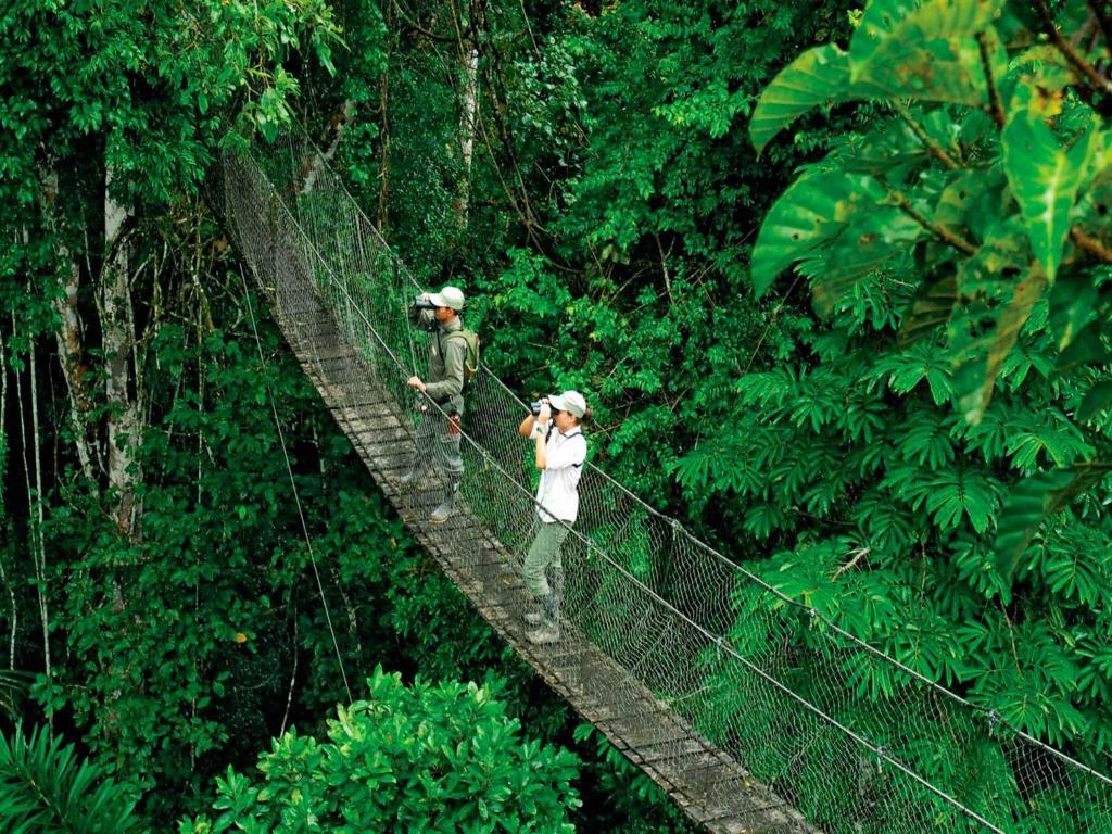Inkaterra Reserva Amazonica بويرتو مالدونادو المظهر الخارجي الصورة