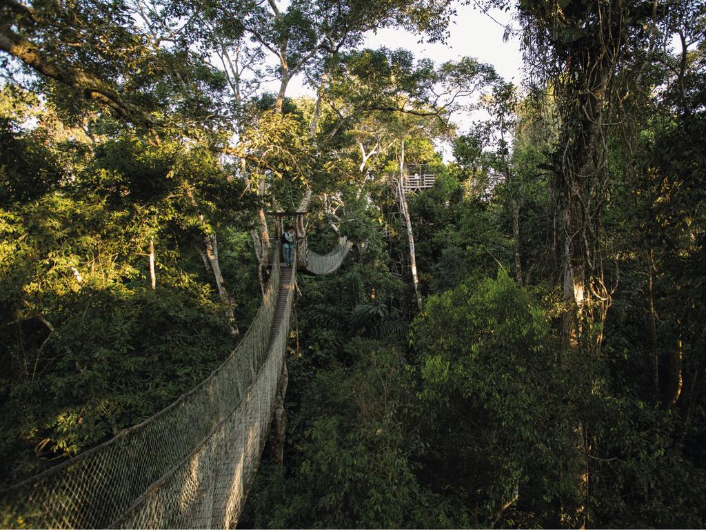 Inkaterra Reserva Amazonica بويرتو مالدونادو المظهر الخارجي الصورة