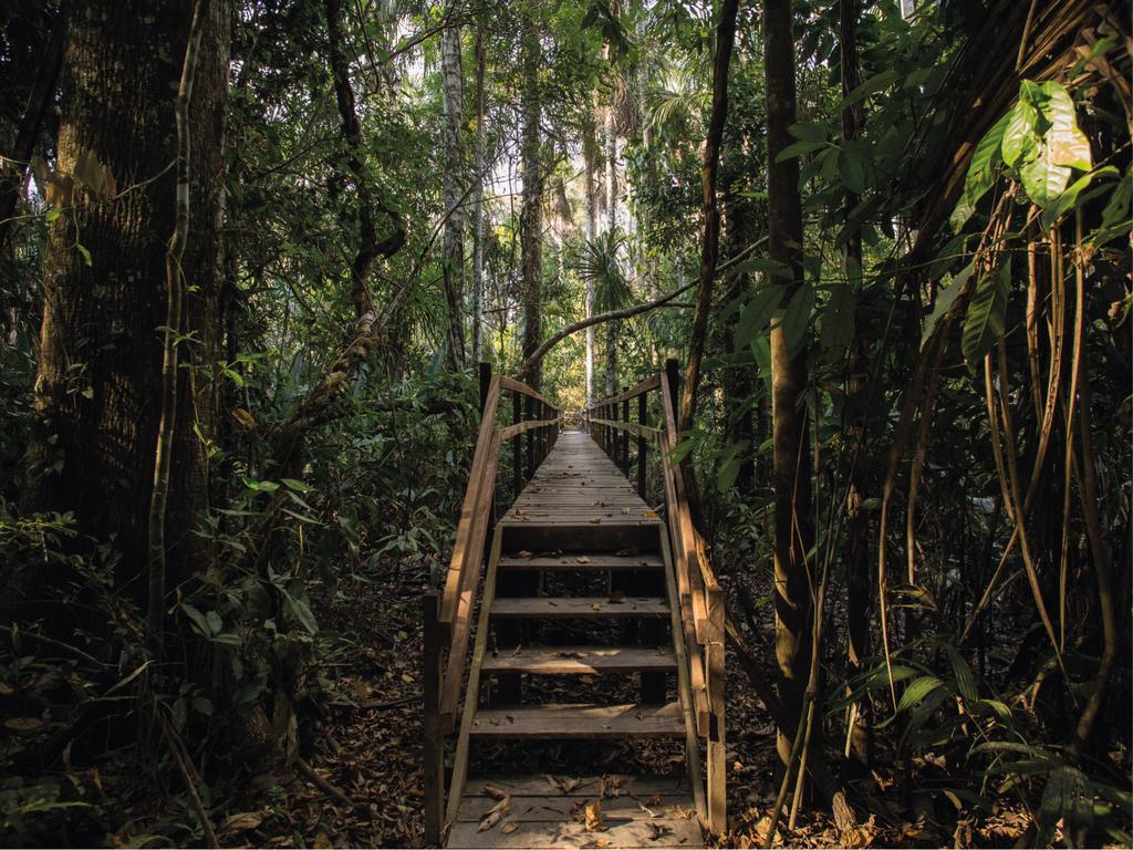 Inkaterra Reserva Amazonica بويرتو مالدونادو المظهر الخارجي الصورة